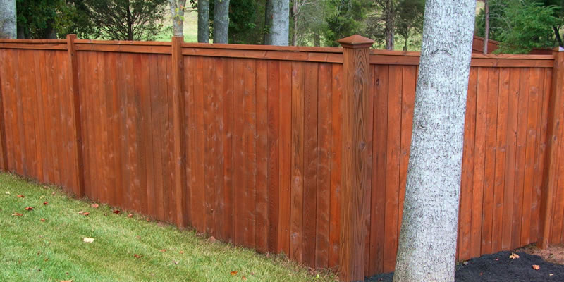 Fence Staining Near Me